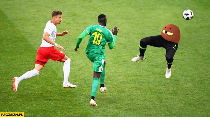 Gondola Szczęsny bramkarz mecz Polska Senegal przeróbka