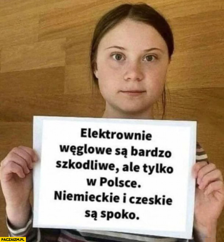 Greta Thunberg elektrownie węglowe są bardzo szkodliwe ale tylko te w Polsce. Niemieckie i czeskie są spoko