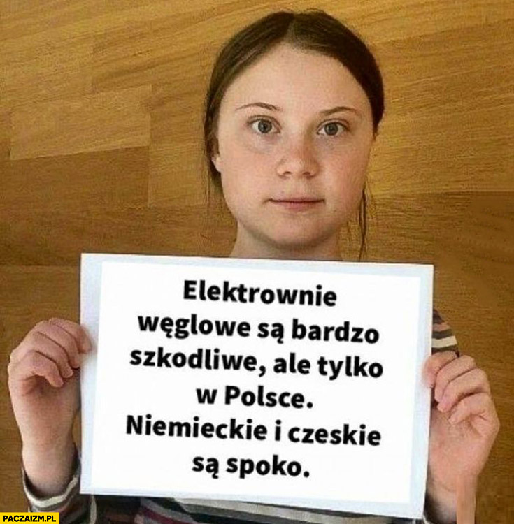 Greta Thunberg elektrownie węglowe są bardzo szkodliwe ale tylko w Polsce, Niemieckie i Czeskie są spoko