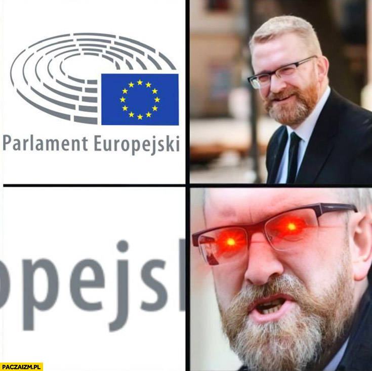 Grzegorz Braun parlament europejski pejs triggered
