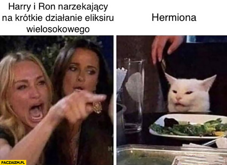 Harry Potter i Ron narzekający na krótkie działanie eliksiru Hermiona jest kotem