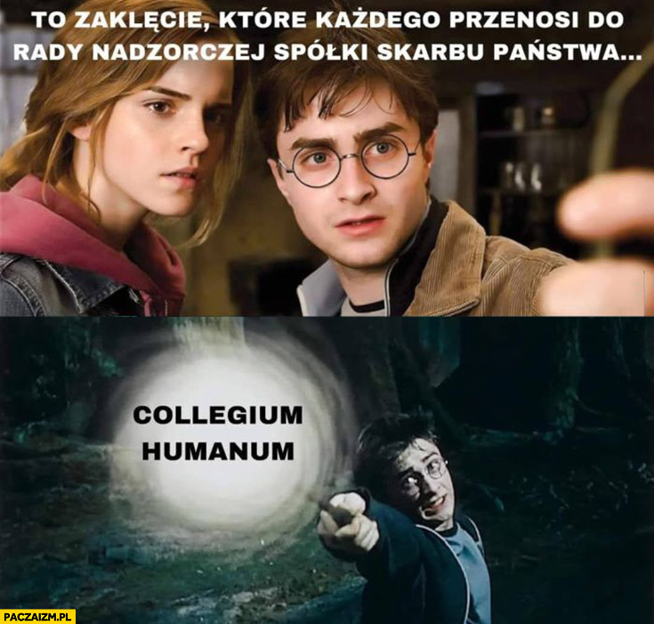 Harry Potter to zaklęcie które każdego przenosi do rady nadzorczej spółki skarbu państwa collegium humanum
