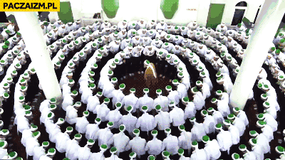 Hipnotyzujaca modlitwa muzułmanów