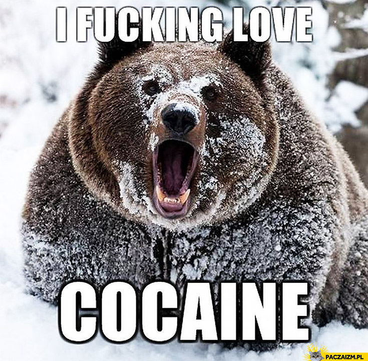 I fucking love cocaine