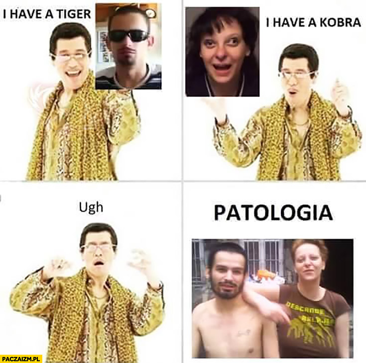 I have a Tiger, I have a Kobra, uuu patologia