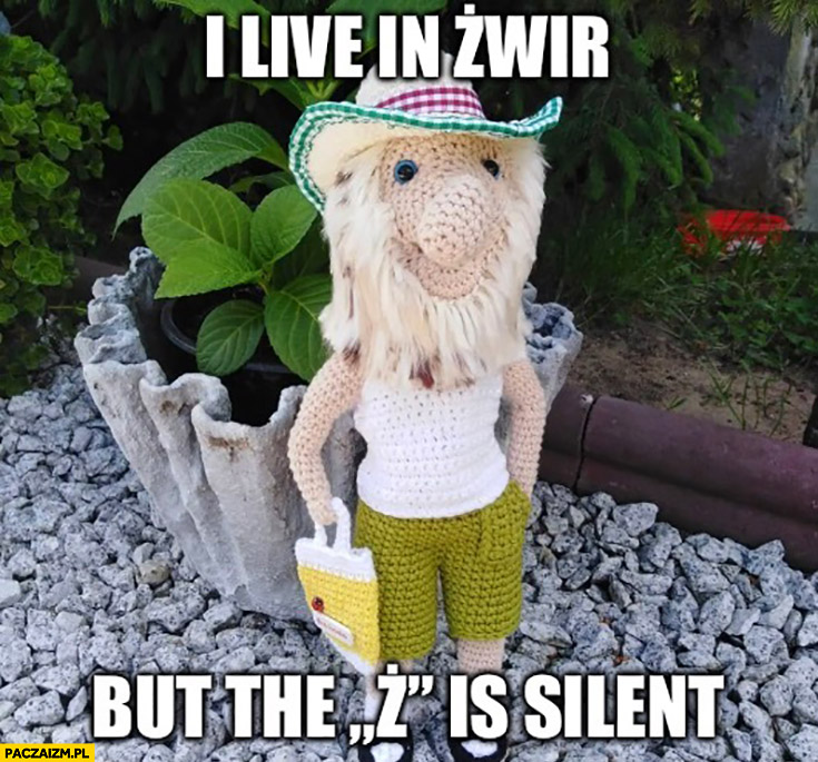 I live in żwir but the z is silent Polak nosacz małpa