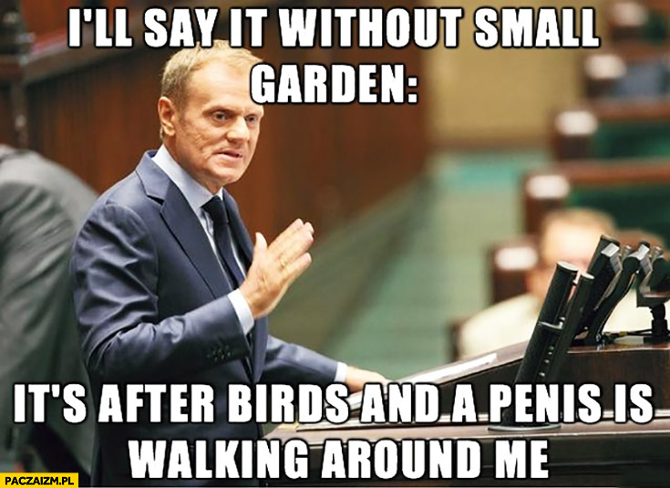 I’ll say it without small garden, it’s after birds and a penis is walking around me. Angielski z Tuskiem