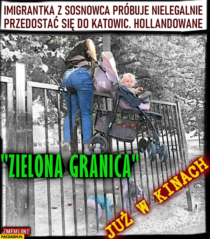 Imigrantka z Sosnowca próbuje nielegalnie przedostać się do Katowic Hollandowane zielona granica już w kinach