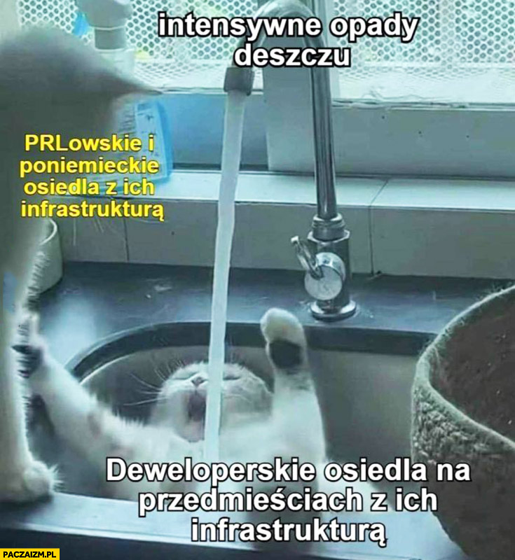 Intensywne opady deszczu PRLowskie osiedla vs deweloperskie osiedla na przedmieściach kot koty