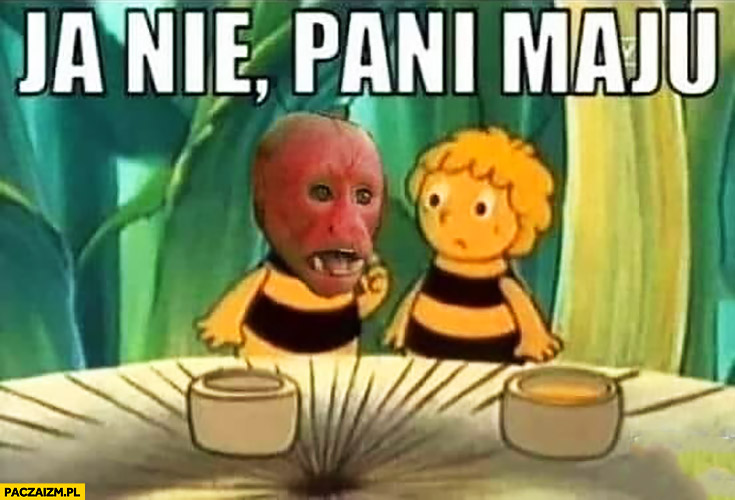 Ja nie Pani Maju pszczółka Maja małpa Ukrainiec