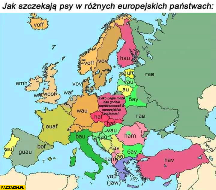 Jak szczekają psy w różnych europejskich państwach w Polsce tylko Legia może nas godnie reprezentować w europejskich pucharach