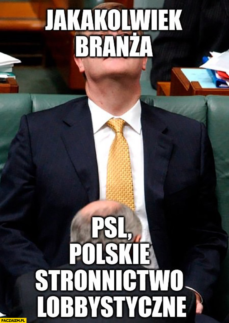 Jakakolwiek branża vs PSL polskie stronnictwo lobbystyczne robi laskę gałę