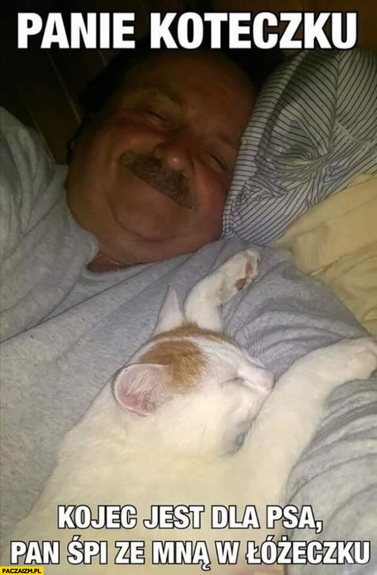 Janusz alfa panie koteczku kojec jest dla psa pan śpi ze mną w łóżeczku