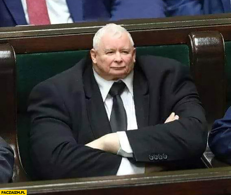 Jarosław Kaczyński mala głowa przeróbka