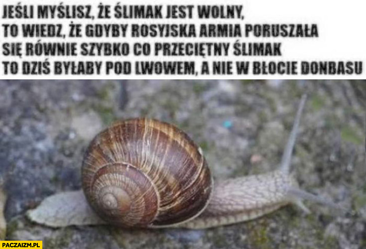 Jeśli myślisz, że ślimak jest wolny: gdyby rosyjska armia się tak poruszała byłaby dziś pod Lwowem a nie w błocie Donbasu
