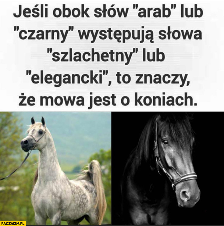 Jeśli obok słów arab lub czarny występują słowa szlachetny lub elegancki to znaczy, że mowa jest o koniach