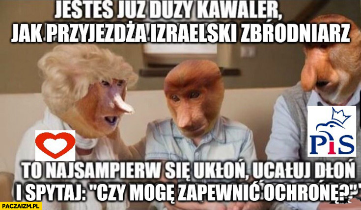 Jesteś już duży kawaler jak przyjeżdża Izraelski zbrodniarz to najpierw się ukłoń, ucałuj dłoń i spytaj czy mogę zapewnić ochronę?