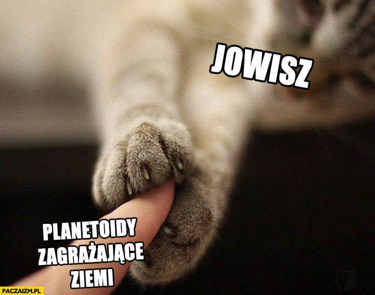 Jowisz łapie planetoidy zagrażające ziemi kot łapki