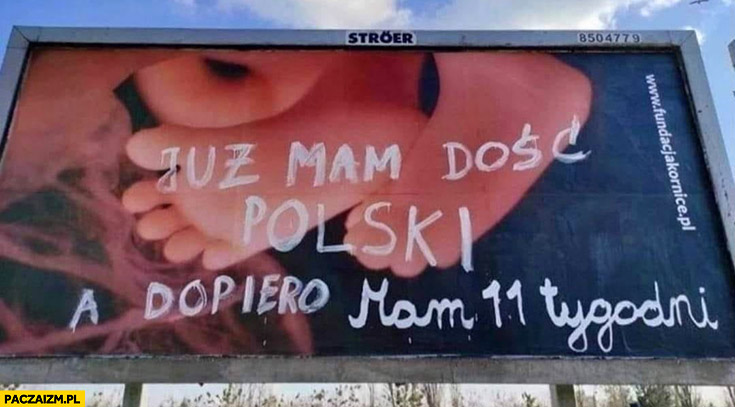 Już mam dość Polski a dopiero mam 11 tygodni billboard plakat prolife  noworodek dziecko reklama - Paczaizm.pl