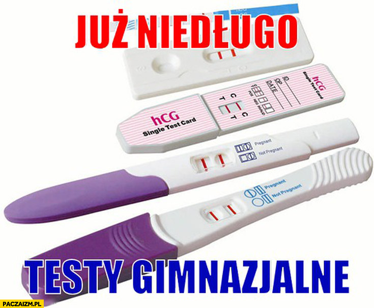 Już niedługo testy gimnazjalne ciążowe