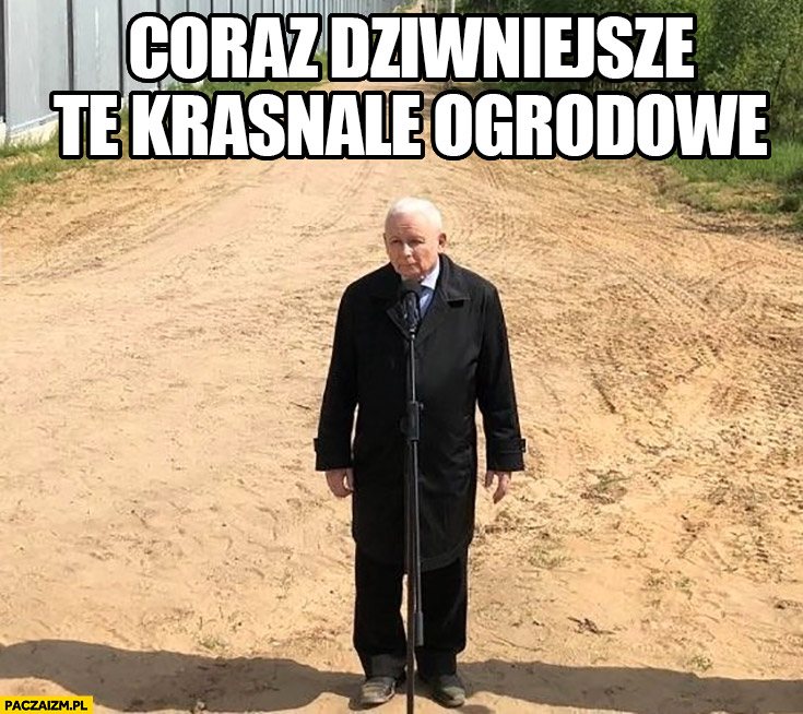 Kaczyński coraz dziwniejsze te krasnale ogrodowe