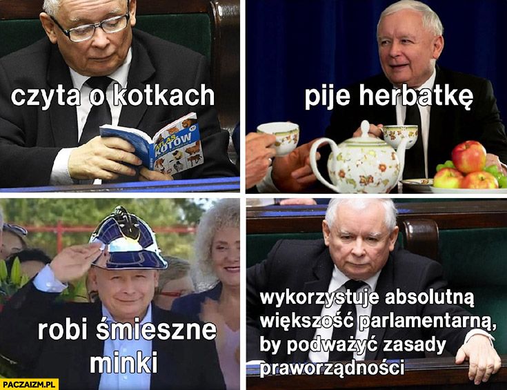 Kaczyński czyta o kotkach, pije herbatkę, robi śmieszne minki, wykorzystuje absolutna większość parlamentarną by podważyć zasady praworządności