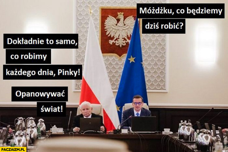 Kaczyński Morawiecki Pinky i Mózg: móżdżku co będziemy dziś robić? To samo co każdego dnia Pinky, opanowywać świat