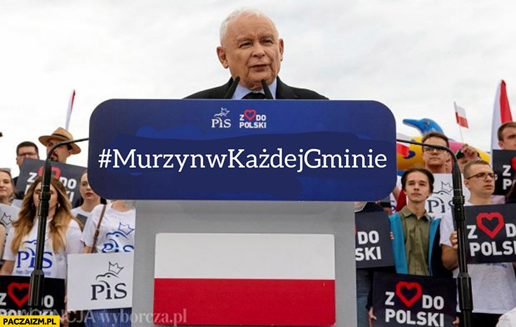 Kaczyński murzyn w każdej gminie program PiS