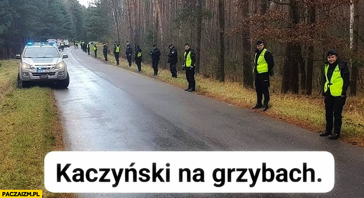 Kaczyński na grzybach policja otoczyła las