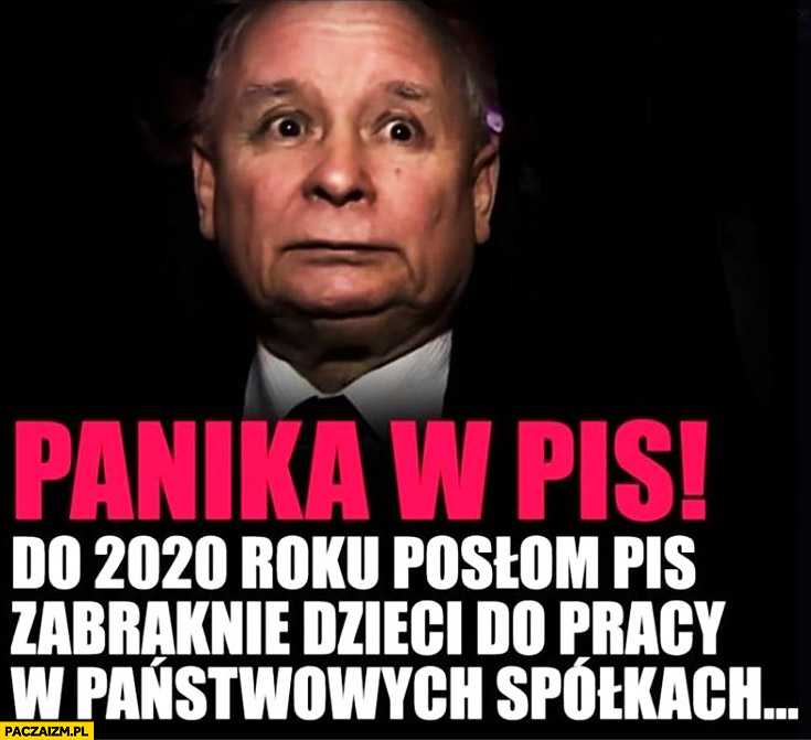 Kaczyński panika w PiS do roku 2020 posłom PiS zabraknie dzieci do pracy w państwowych spółkach