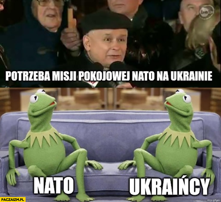 Kaczyński potrzeba misji pokojowej NATO na Ukrainie, Kermit NATO Ukraińcy zdziwieni