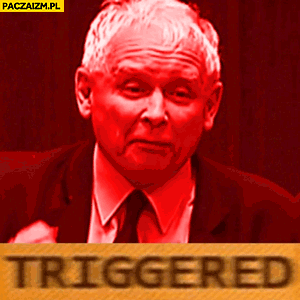 Kaczyński triggered mem animacja gif przemowa w sejmie zły zdenerwowany wkurzony