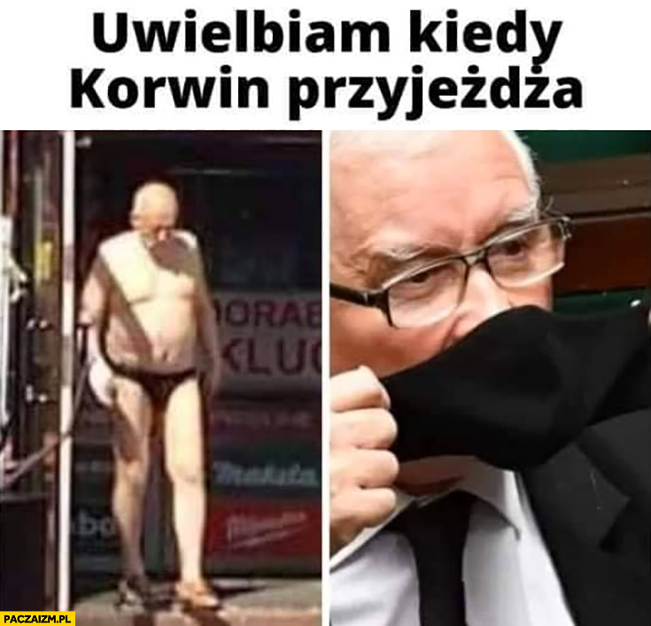 Kaczyński uwielbiam kiedy Korwin przyjeżdża wącha jego majtki czarna maseczka