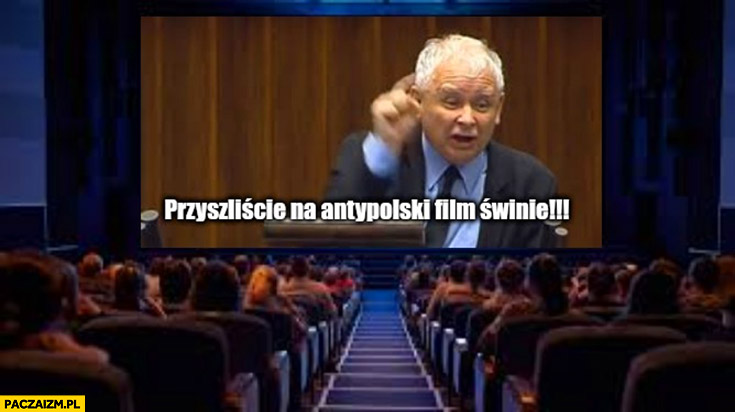 Kaczyński w kinie przyszliście na antypolski film świnie Zielona granica