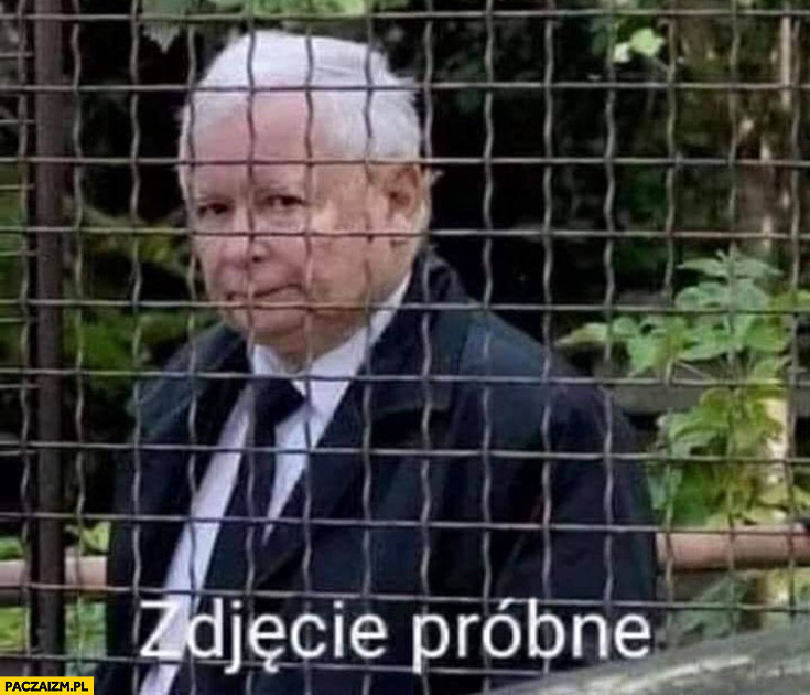 Kaczyński za kratami zdjęcie próbne za ogrodzeniem płotem