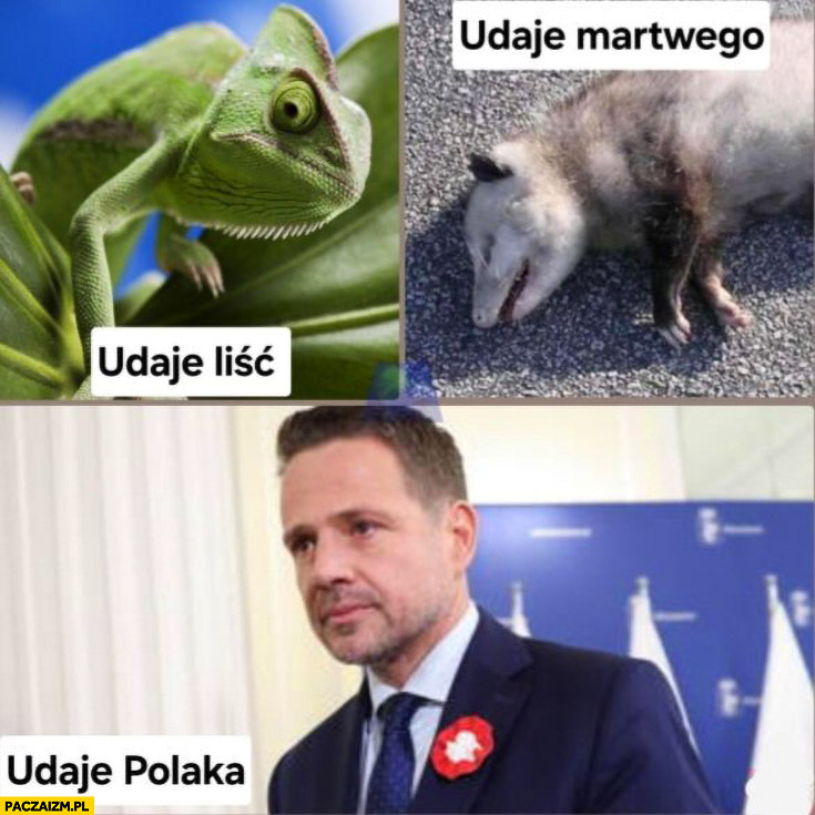 Kameleon udaje liść, zwierzę udaje martwego, Trzaskowski udaje Polaka