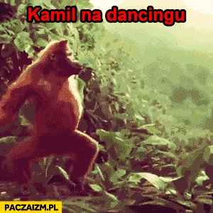 Kamil na dancingu