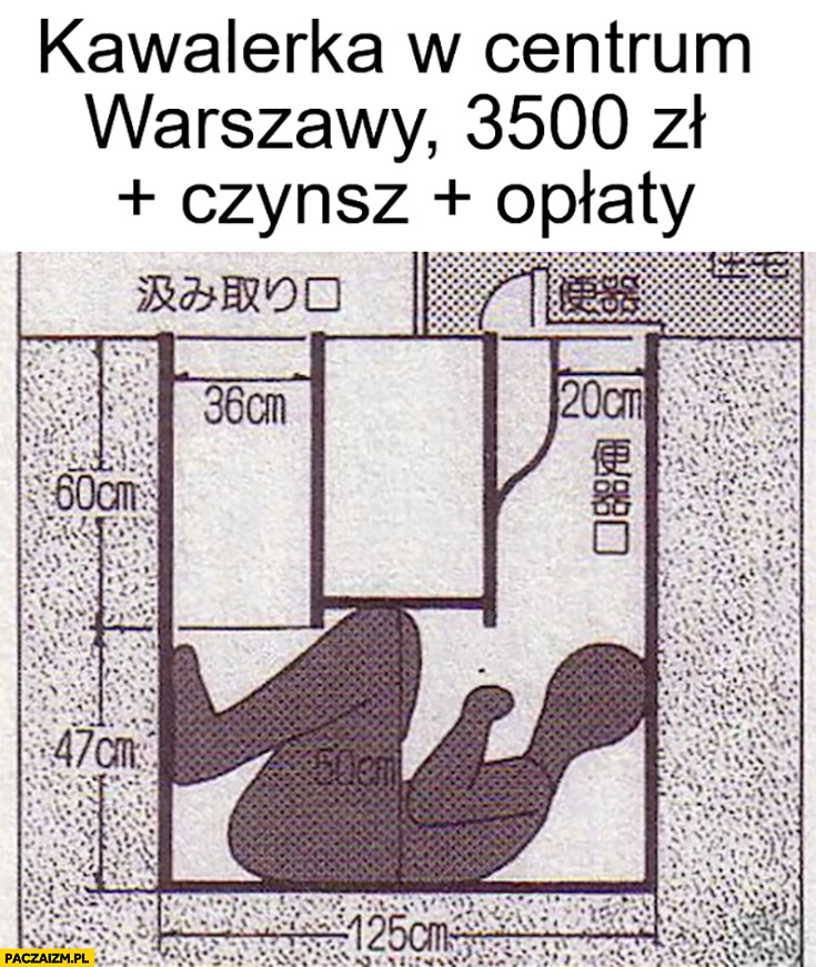 Kawalerka w centrum Warszawy 3500 zł plus czynsz, opłaty