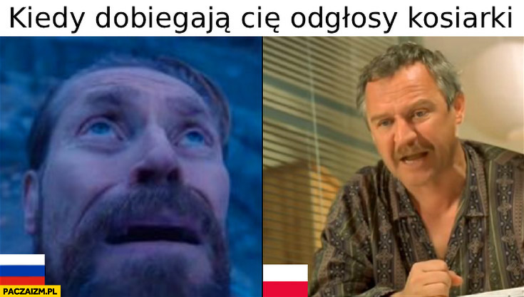 Kiedy dobiegają cię odgłosy kosiarki rosja vs Polska reakcja