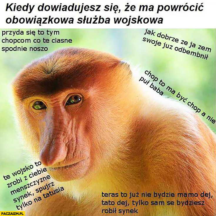 kiedy-dowiadujesz-sie-ze-ma-powrocic-obo