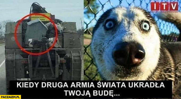 Kiedy druga armia świata okradła Twoją budę Rosja Ukraina zdziwiony pies