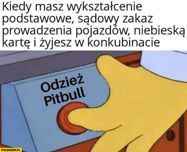 Kiedy masz wykształcenie podstawowe, sądowy zakaz prowadzenia pojazdów, niebieską kartę i żyjesz w konkubinacie przycisk odzież Pitbull