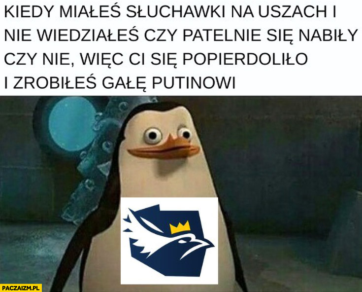 Berkowicz konfederacja kiedy miałeś słuchawki na uszach i nie wiedziałeś czy patelnie się nabiły czy nie wiec zrobiłeś gale putinowi