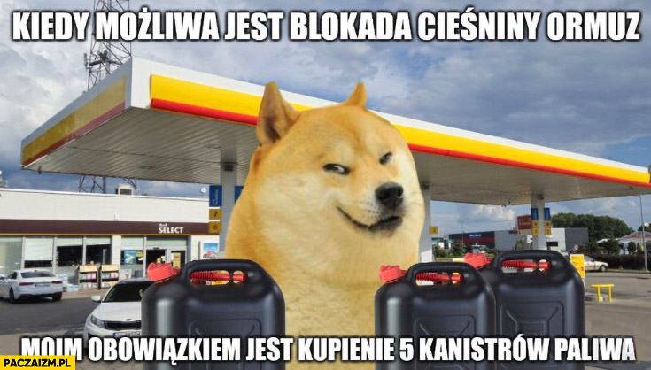 Kiedy możliwa jest blokada cieśniny Ormuz moim obowiązkiem jest kupienie 5 kanistrów paliwa pies pieseł doge