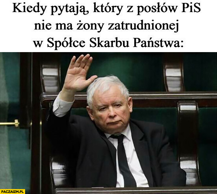 Kiedy pytają który z posłów PiS nie ma żony zatrudnionej w spółce skarbu państwa Kaczyński podnosi rękę