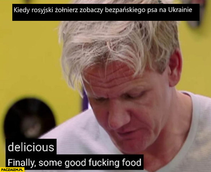 Kiedy rosyjski żołnierz zobaczy bezpańskiego psa na Ukrainie Gordon Ramsay w końcu jakieś dobre jedzenie