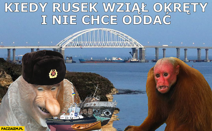 Kiedy Rusek wziął okręty i nie chce oddać typowy nosacz małpa Ukraina Rosja