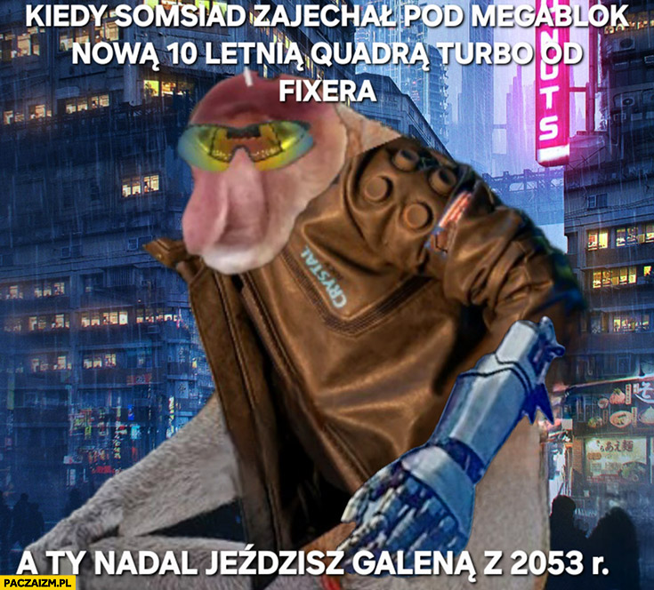 Kiedy somsiad zajechał pod megablok nowa 10 letnia Quadra turbo od Fixera a ty nadal jeździsz Galeną z 2053 roku polak nosacz małpa cyberpunk 2077