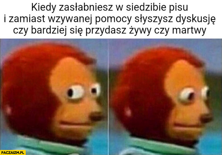 Kiedy zasłabniesz w siedzibie PiSu i zamiast wzywanej pomocy słyszysz dyskusje czy bardziej przydasz się żywy czy martwy