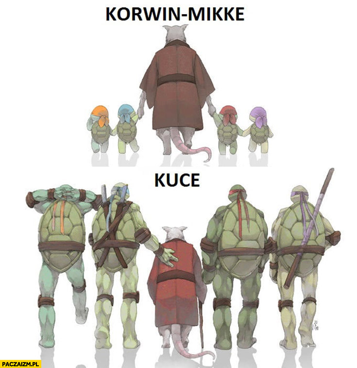 Korwin-Mikke kuce wojownicze żółwie ninja Turtles